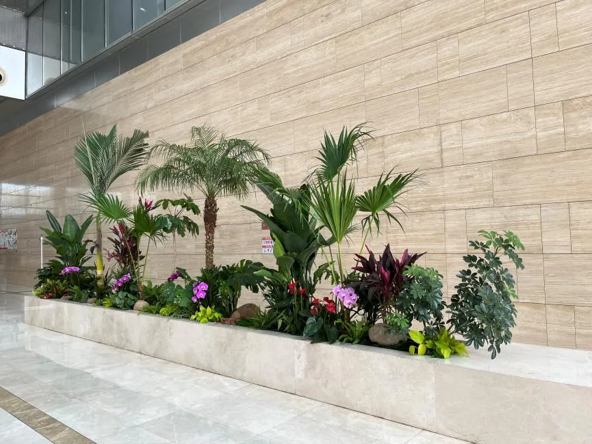 杭州湾花木租摆价格实惠